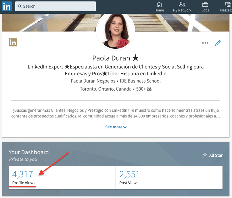 Quién miró tu perfil